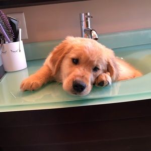 Meet your Posher, Jon